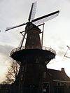 Molen de roos
