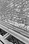 Exterieur (TIJDENS RESTAURATIE), MIDDENBEUK, DAKBEDEKKING, DETAIL - Delft - 20283038 - RCE -  ROOMS-KATHOLIEKE KERK (H. MARIA VAN JESSEKERK): Exterieur (TIJDENS RESTAURATIE), MIDDENBEUK, DAKBEDEKKING, DETAIL 