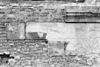 Detail voorgevel na verwijdering hoge stoep - 's-Gravenhage - 20087040 - RCE -  Mauritshuis: Detail voorgevel na verwijdering hoge stoep 