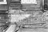 Detail voorgevel na verwijdering hoge stoep - 's-Gravenhage - 20087038 - RCE -  Mauritshuis: Detail voorgevel na verwijdering hoge stoep 