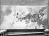 Geschilderd plafond door G.de Lairesse - 's-Gravenhage - 20084981 - RCE -  Vredespaleis: geschilderd plafond door G.de Lairesse 