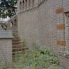 Achtergevel met bordestrap en rozenstruiken tegen muur - 's-Gravenhage - 20331463 - RCE -  Terracotta: Achtergevel met bordestrap en rozenstruiken tegen muur 