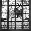 Gebrandschilderd raam 1 no. 11 - Gouda - 20081846 - RCE -  Sint Janskerk: gebrandschilderd raam 1 no. 11 