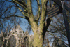 Kopie van stjan wegwijzer.GIF -  Wegwijzer naar de Sint janskerk te Gouda 