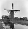 Overzicht ronde stenen molen in polderlandschap - Alkemade - 20005541 - RCE -  Adermolen: Overzicht ronde stenen molen in polderlandschap 