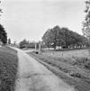 Exterieur OVERZICHT MET TOEGANGSPOORT (INRIJHEK) - Zuid-Beijerland - 20312321 - RCE -  Boerderij BOUWLUST: Exterieur OVERZICHT MET TOEGANGSPOORT (INRIJHEK) 