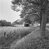 Exterieur OVERZICHT VOORZIJDE VANAF DE OPRIJLAAN - Zuid-Beijerland - 20312322 - RCE -  Boerderij BOUWLUST: Exterieur OVERZICHT VOORZIJDE VANAF DE OPRIJLAAN 