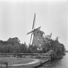 Wipmolen, watermolen van de polder Berkel, exterieur in verval - Berkel en Rodenrijs - 20033885 - RCE -  De Valk: wipmolen, watermolen van de polder Berkel, exterieur in verval 