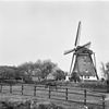 Molen, zg. ondermolen - Berkel en Rodenrijs - 20033879 - RCE -  De Valk: molen, zg. ondermolen 