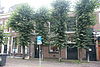 Leiden - Nieuwstraat 38.JPG