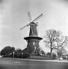 Korenmolen 