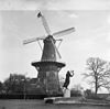 Korenmolen 