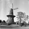 Korenmolen 