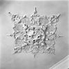 INTERIEUR, EERSTE ETAGE, VOORKAMER, STUCPLAFOND MET ROZET - Leiden - 20271611 - RCE -  INTERIEUR, EERSTE ETAGE, VOORKAMER, STUCPLAFOND MET ROZET 