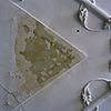 Interieur, kleurtrap op het stucplafond in rechter tuinkamer - Leiden - 20330971 - RCE -  Prentenkabinet: Interieur, kleurtrap op het stucplafond in rechter tuinkamer 