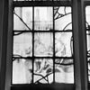 Interieur detail glas-in-lood raam - Leiden - 20134947 - RCE -  St.Annahofje: interieur detail glas-in-lood raam 