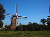 Roomburg11 -  Rodenburgermolen Plaats Leiden Roomburg Bouwjaar 1704/1893 Type grondzeiler Kenmerken Ronde stenen molen Vlucht 19,10 m Functie poldermolen 