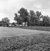 Overzicht - Leiderdorp - 20137855 - RCE -  Hoogkraan: overzicht 