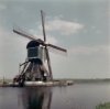 Overzicht van de molen