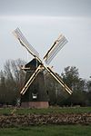 De Jonge Sophia