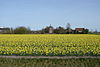 Huys Dever in spring
