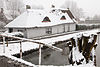 Rijksmomument 26600(2) Winter -  Weverskade 97, Maasland, Winter, Boerderijtje, witgepleisterde muren: schilderachtig strodak, dat achter aansluit tegen een puntgevel met muurankers. Oude kozijnen 