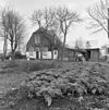 Exterieur OVERZICHT - Maasland - 20291591 - RCE -  Boerderij: Exterieur OVERZICHT 