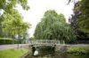 Overzicht van de brug