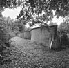 BeÃ«indiging slangemuur - Ridderkerk - 20347268 - RCE -  Slangemuur van Het Huys ten Donck: BeÃ«indiging slangemuur 