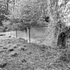 Slangemuur - Ridderkerk - 20037339 - RCE -  Slangemuur van Het Huys ten Donck: Slangemuur 
