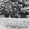 Kievitslaan nabij nr. 114, begraafplaats familie Groeninx van Zoelen, overzicht - Bolnes - 20037318 - RCE -  Huys Ten Donck: Kievitslaan nabij nr. 114, begraafplaats familie Groeninx van Zoelen, overzicht 
