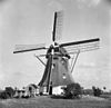 Watermolen van de Schaapsweipolder, na restauratie - Rijswijk - 20188228 - RCE -  Watermolen van de Schaapsweipolder, na restauratie 