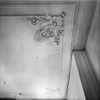 INTERIEUR, STUCPLAFOND - Rotterdam - 20293651 - RCE -  INTERIEUR, STUCPLAFOND 