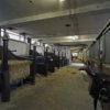 Interieur, stallen met boxen