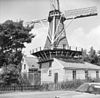 Overzicht - Kralingen - 20127628 - RCE -  De Lelie: Overzicht (opmerking: Van deze molen is ook een Sipman-tekening) 