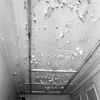 Interieur, plafond - Schiedam - 20196958 - RCE -  interieur, plafond 