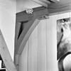 INTERIEUR, KORBEEL - Schoonhoven - 20301722 - RCE -  INTERIEUR, KORBEEL 