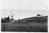 Molenzicht, reproductie van prentbriefkaart - Wassenaar - 20251344 - RCE -  Windlust: Molenzicht, reproductie van prentbriefkaart 