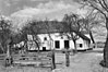 Boerderij, gepleisterd dwarshuis, goed oorspronkelijke type, dwarshuis aan de Zuidzijde eindigend in topgevel