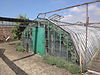 Tuindersbedrijf Sonnehoeck kas 2 -  Greenhouse 