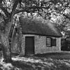 Rietgedekt huis bij eendenkooi - Ameide - 20008389 - RCE -  Kooikershuis: Rietgedekt huis bij eendenkooi 