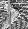 Gevonden raam zuid wand - Nieuwland - 20165234 - RCE -  Hervormde kerk en toren: gevonden raam zuid wand 